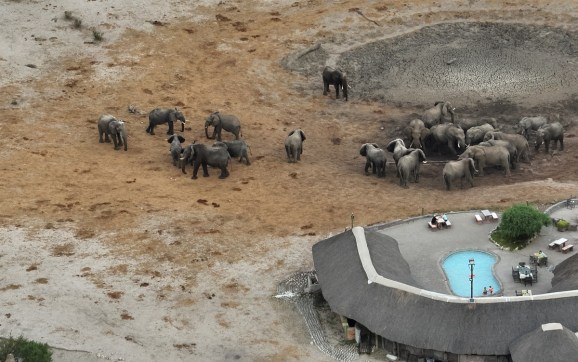 A drone view of a dry elephant watering hole and lodge in Botswana.